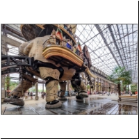 2025-07-24 L'Ile de Nantes Machines Elefant 11.jpg